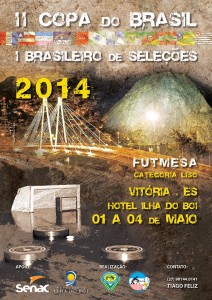 Copa do Brasil Liso - 2014