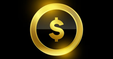 DEMONSTRATIVO FINAL DO EXERCÍCIO FINANCEIRO 2025