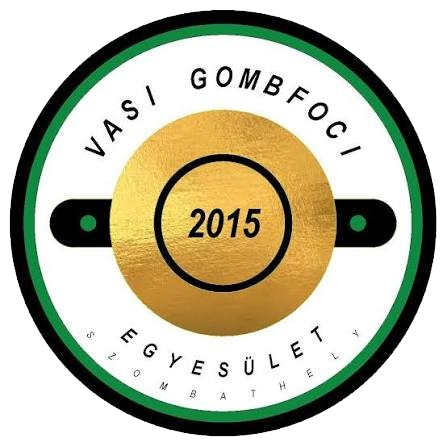 VASI Gombofoci (Hungria)